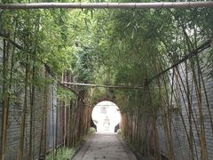 -龙潭水乡