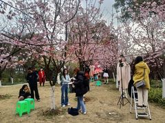 -南山植物园