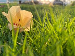 -白石龙音乐公园