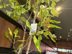 -西堤牛排(南京龙江店)