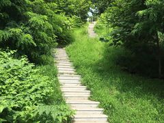 -莫子山公园