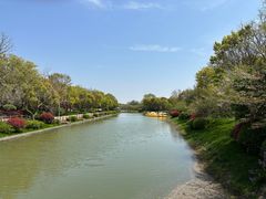 -上海海湾国家森林公园