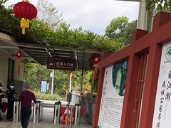 -广州白江湖森林公园