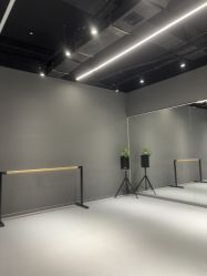 -欲非舞蹈