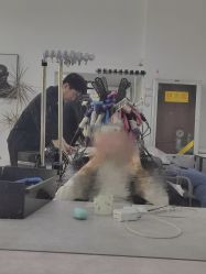 -未来美发·T1M HAIR SALON