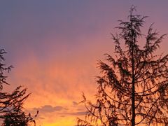 -天鹅湖体育公园