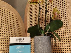 -茹·pure vegan(博华广场店)