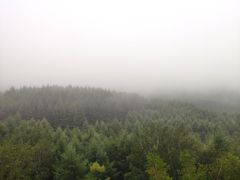 -塞罕坝国家级自然保护区