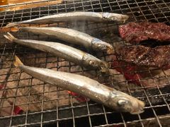 多春鱼-Isekura