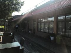 -洪湖家庭农场·团建·露营·会议