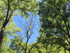 -古塔公园