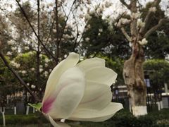 -四川大学(华西校区)