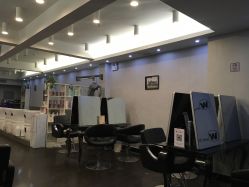 -维卡 Salon