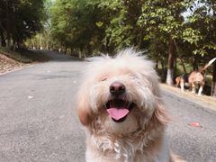 -白鹭湾湿地公园