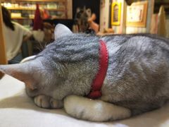 -小时光咖啡馆(开森度假森林店)