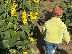 -汉长安城未央宫国家考古遗址公园