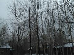 -陆地游轮吉林神农温泉