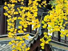 -西园戒幢律寺