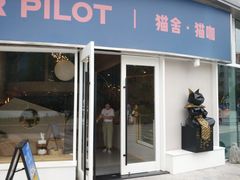 门面-飞行喵MR PILOT|猫舍·猫咖(静安大融城店)