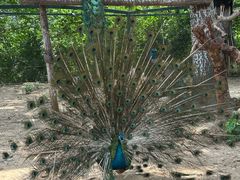 -济南野生动物世界
