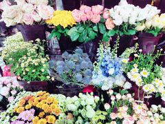 -ChaKo Flora ·茶子花艺 (市北店)