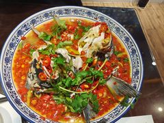 -湘潭九龙鱼头店(城南西路店)