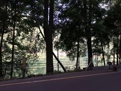 -缙云山景区