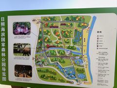 -日照海滨国家森林公园