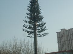 -太原动物园