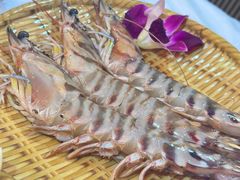 -鲜入围煮花胶鸡海鲜火锅
