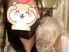 -龙猫仔乐园(惠福东路店)