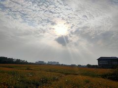 -杭州乐园