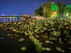 -济南大明湖景区
