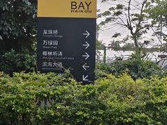 -万绿园
