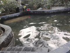 -西安国际创新人才交流中心•药浴温泉