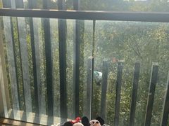 -上海崇明金茂凯悦酒店