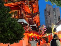 -新加坡佛牙寺龙华院