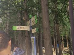 -日照海滨国家森林公园
