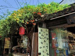 -猫的天空之城概念书店(苏州平江店)