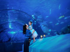 -太平洋海底世界