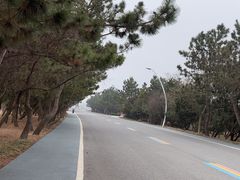 -日照海滨国家森林公园