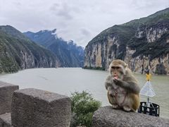 -白帝城·瞿塘峡景区