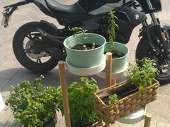 -香颂咖啡(华德中心广场店)