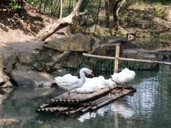-兰亭风景区