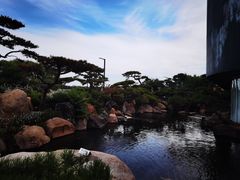 -罗红摄影艺术馆