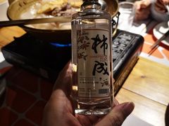 -宁波余姚老柿林山居度假村