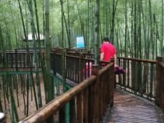 -陶祖圣境风景区