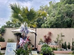 -苏小糖(鼓浪屿三丘田花园店)