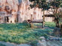 -杭州野生动物世界