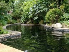 -中铁花水湾四季温泉谷